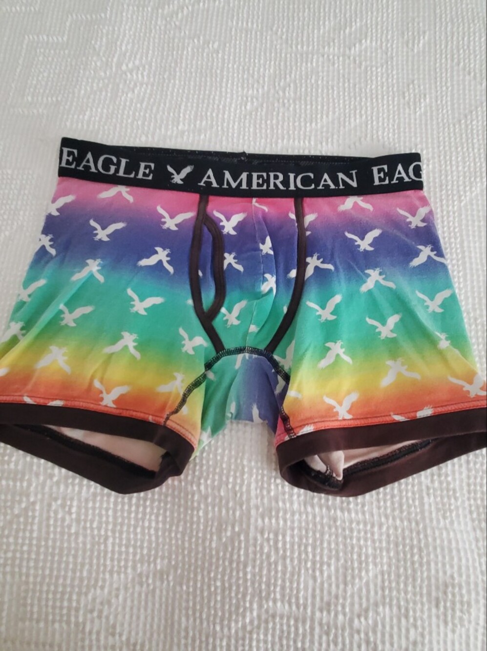 American Eagle Outfitters Rainbow Gradient Eagle Print Boxer Briefs